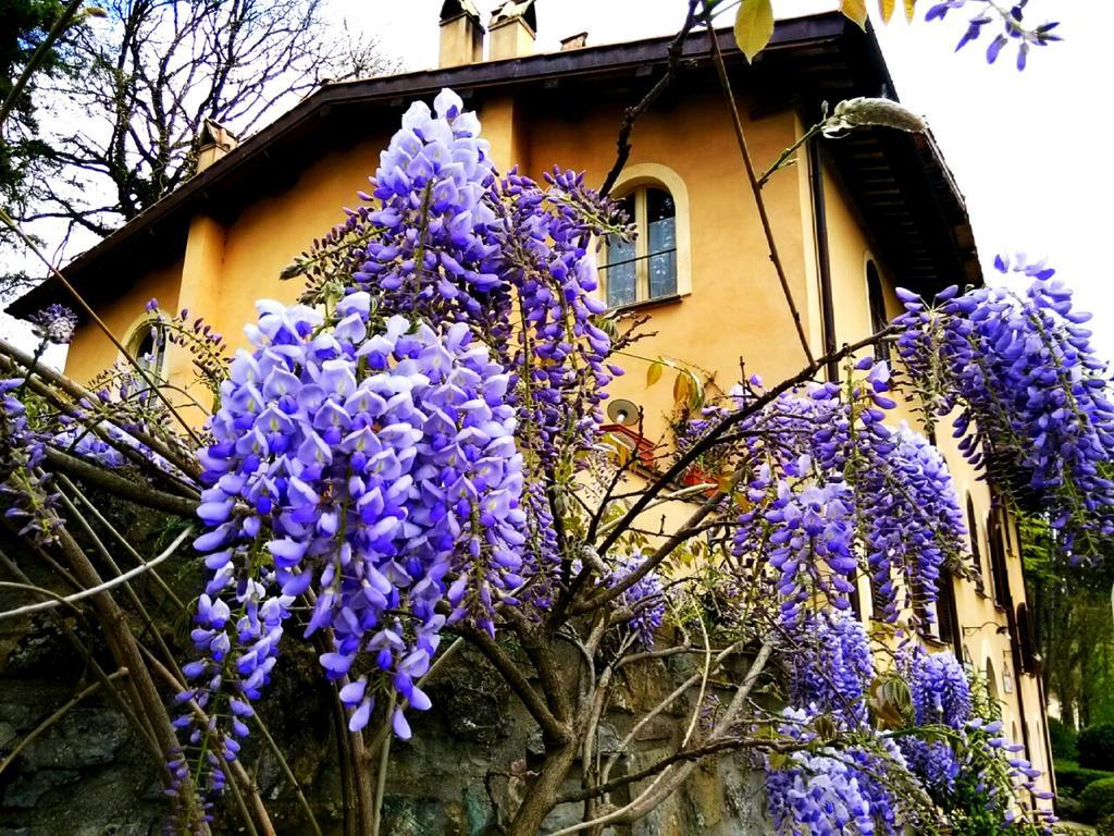 La Locanda Del Borgo Pietralunga  Luaran gambar